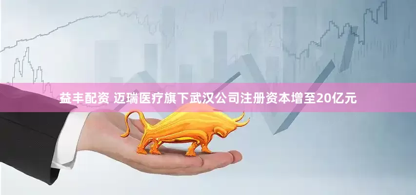 益丰配资 迈瑞医疗旗下武汉公司注册资本增至20亿元
